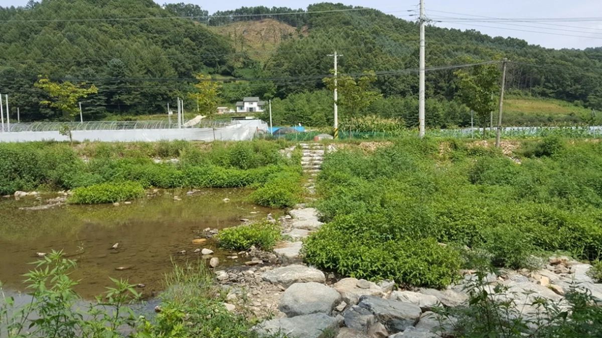 대덕숲유원지