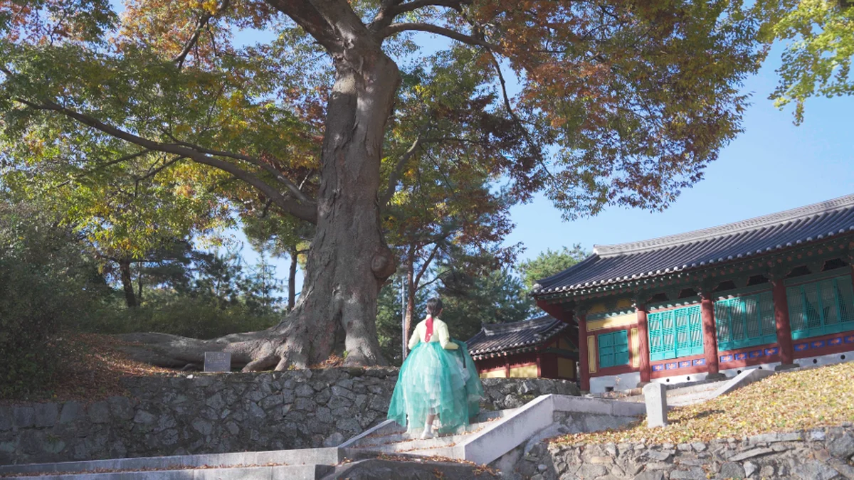 괴산향교