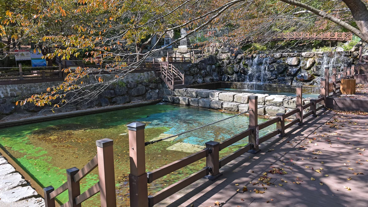제암산자연휴양림 야영장