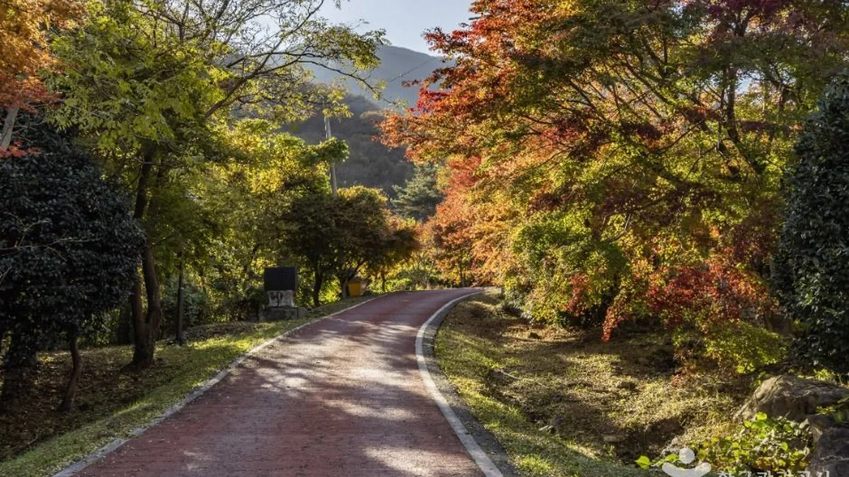 다도해해상국립공원(고흥)