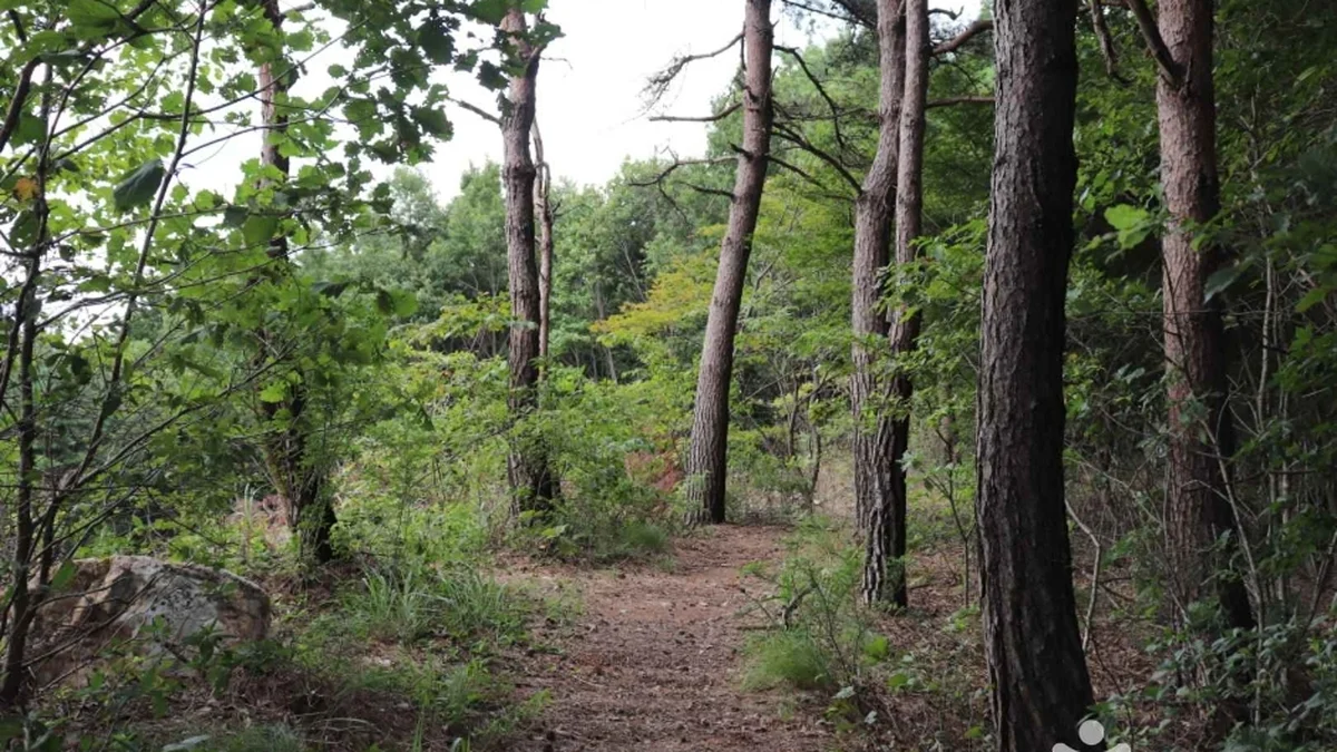 구녀산