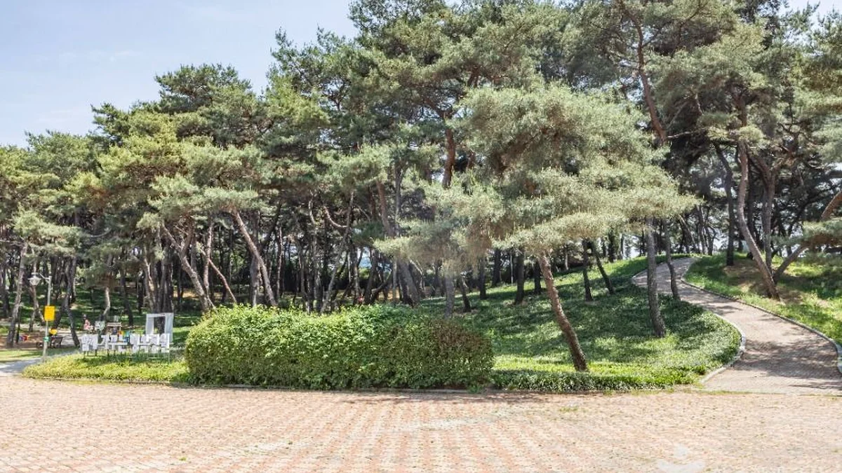솔밭공원