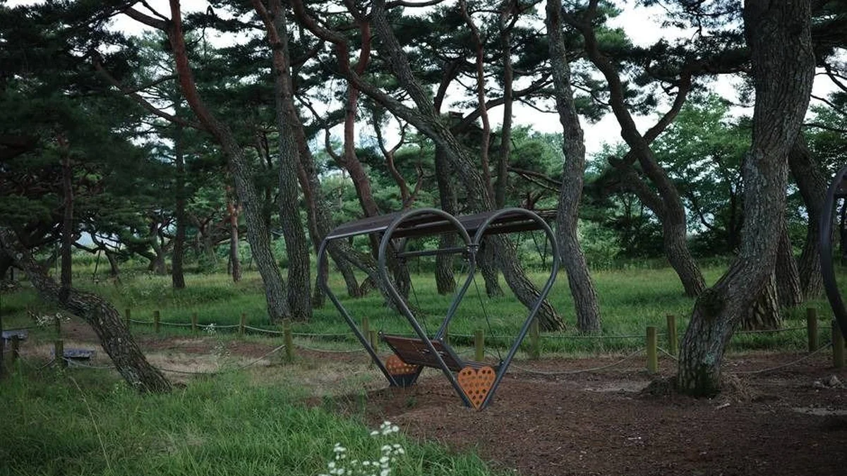 서어나무 숲