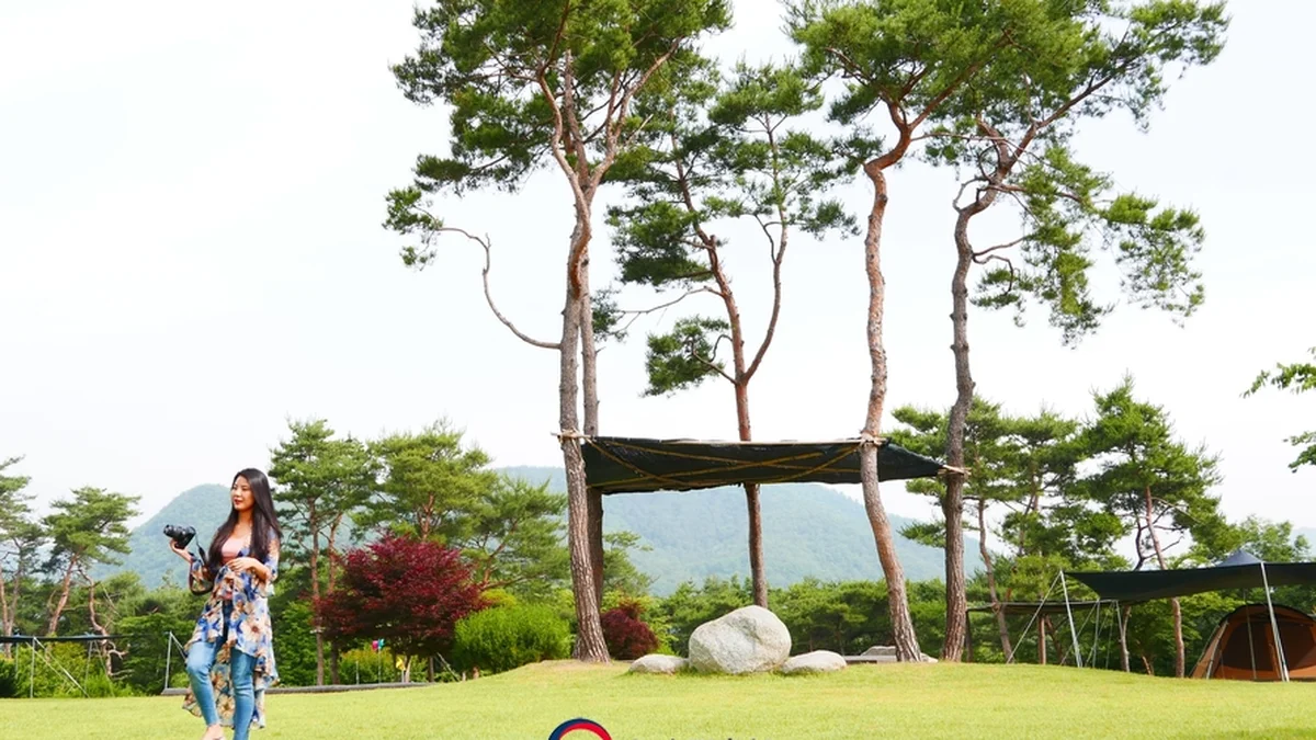 숲속의베리팜
