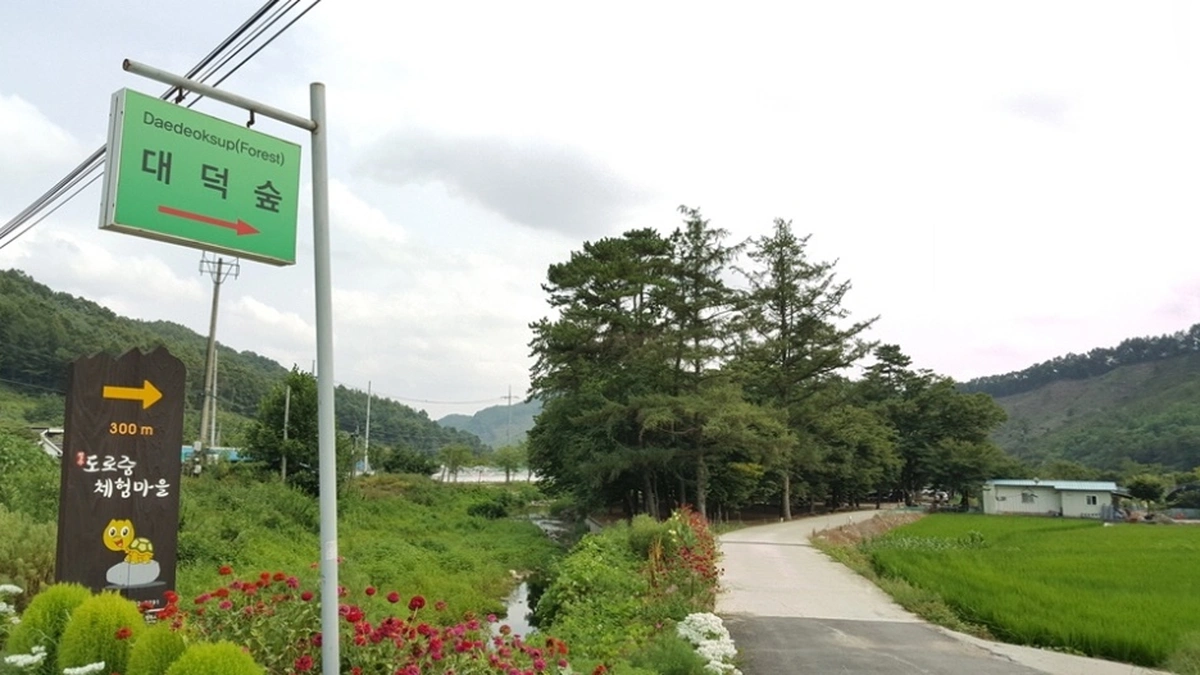 대덕숲유원지
