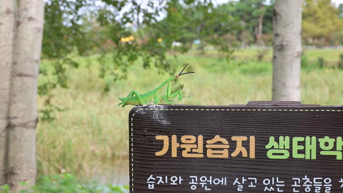 두타산협곡마천루