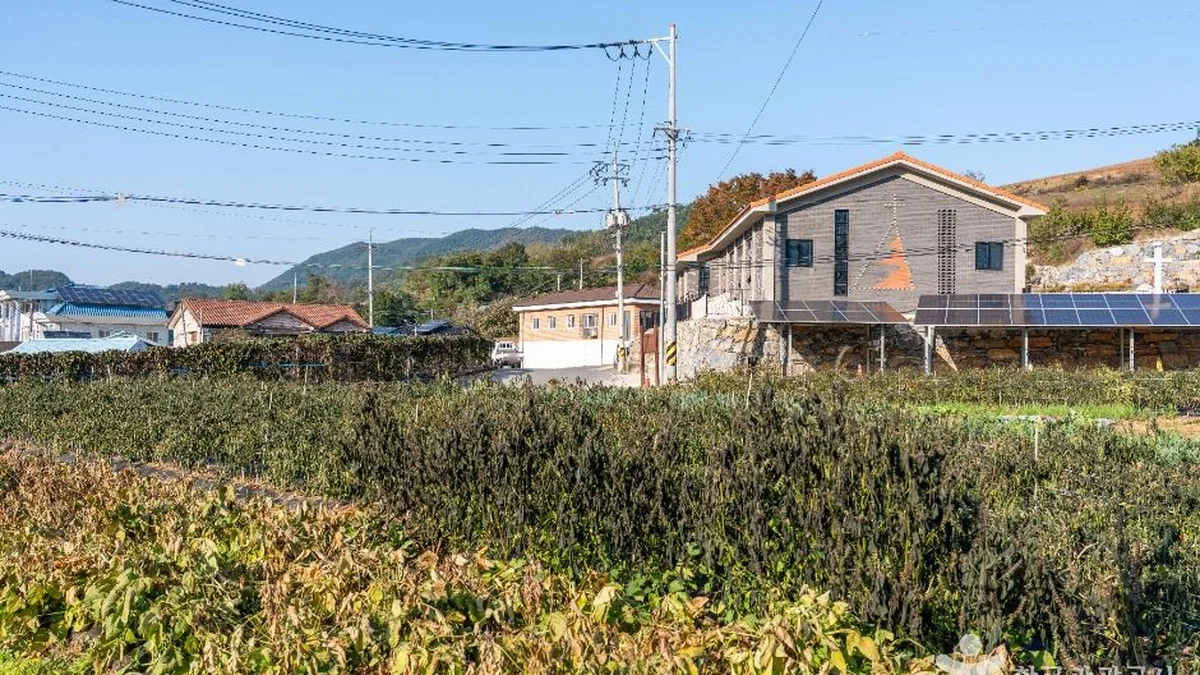 월악산 약초마을