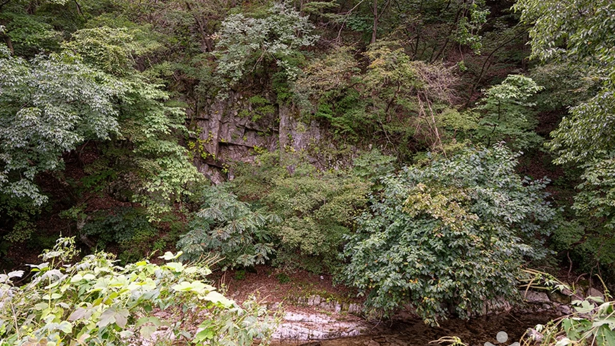 백운산(포천)