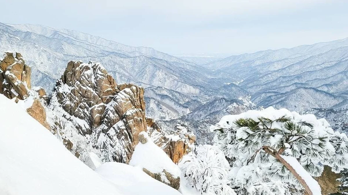 설악산 흘림골