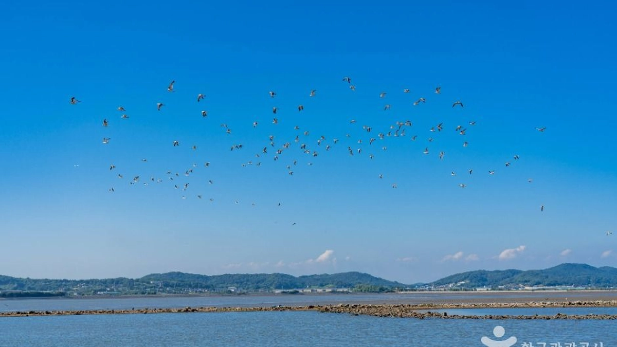 백미항