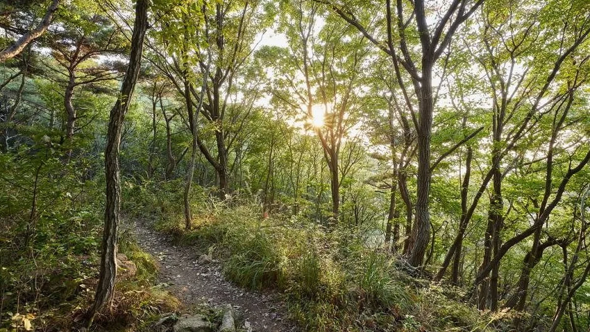 호룡곡산