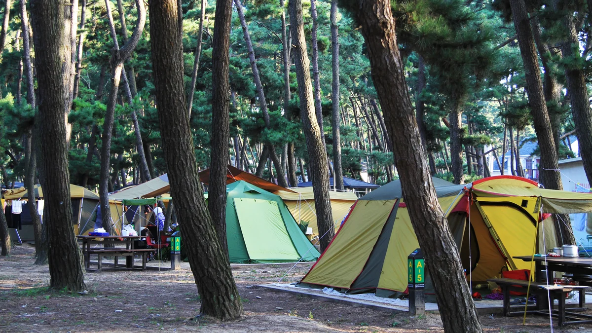 몽산포 자동차 야영장
