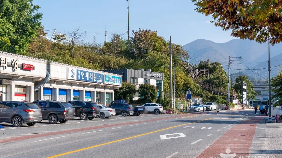 월악산 약초마을