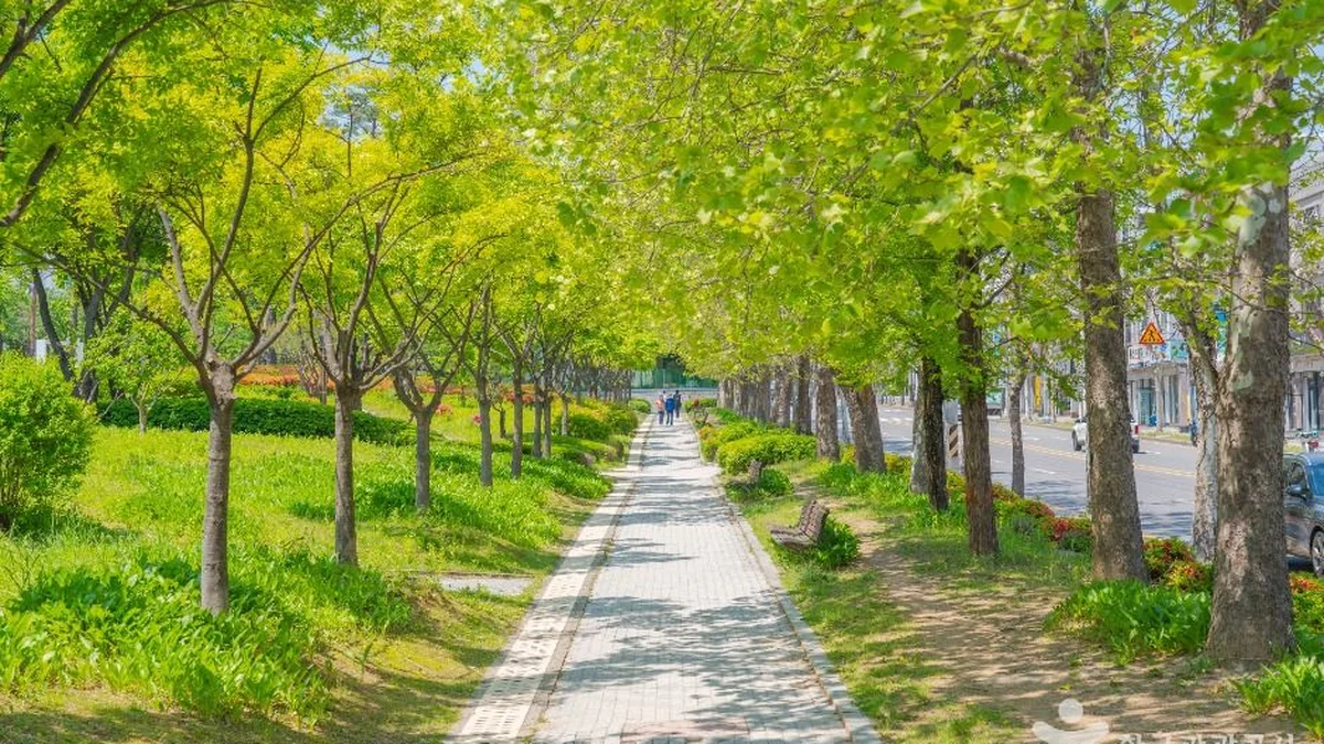 매탄공원