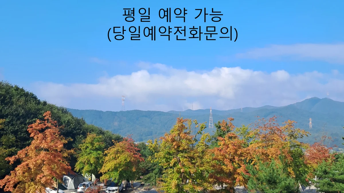 단풍숲캠핑장