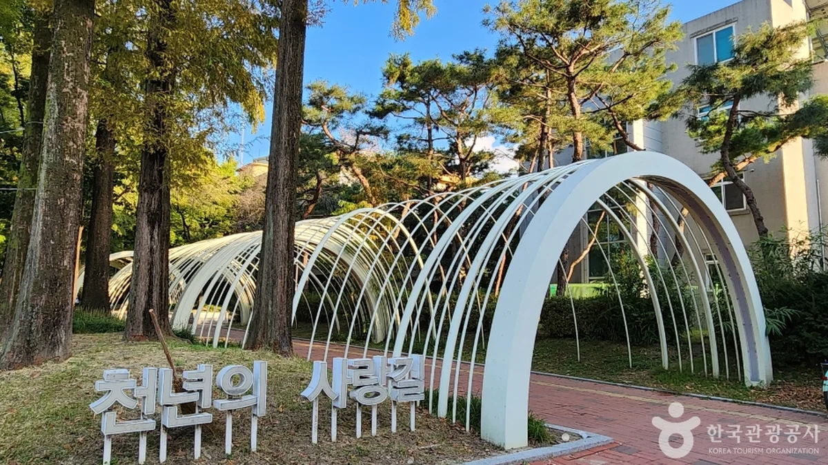 청주 중앙공원