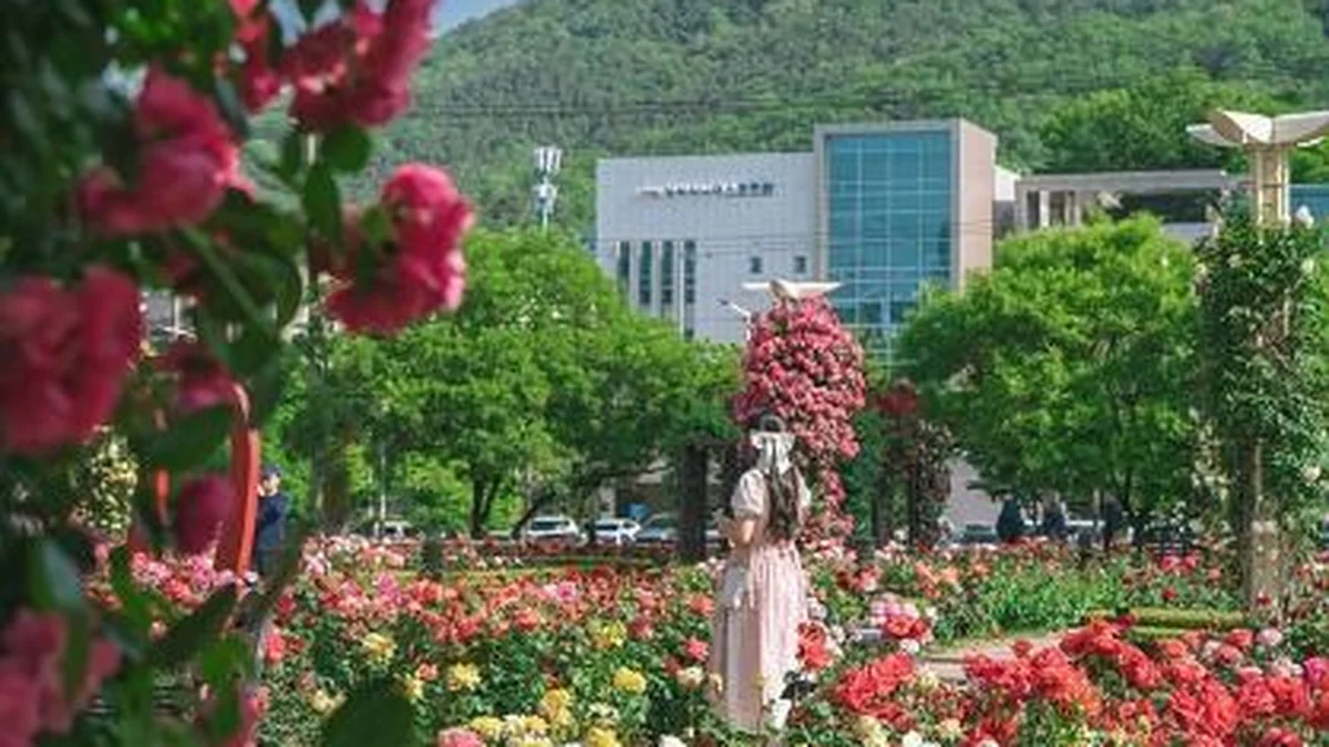 이곡장미공원