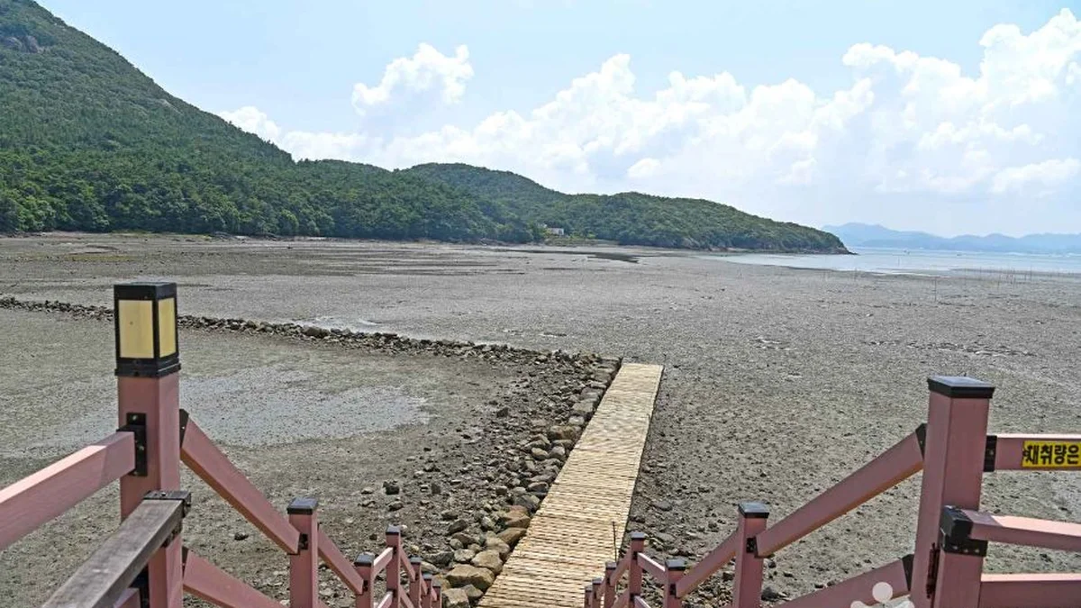모항갯벌체험장