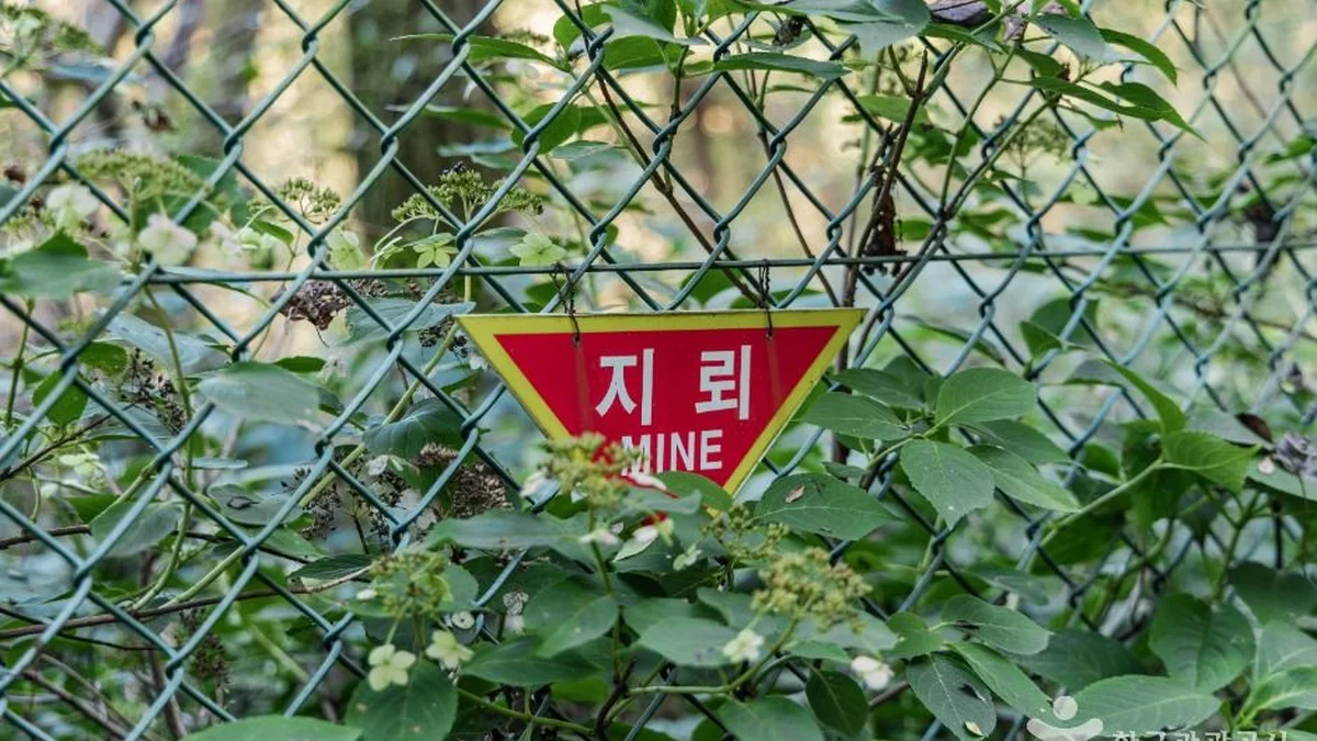 소이산 생태숲 녹색길