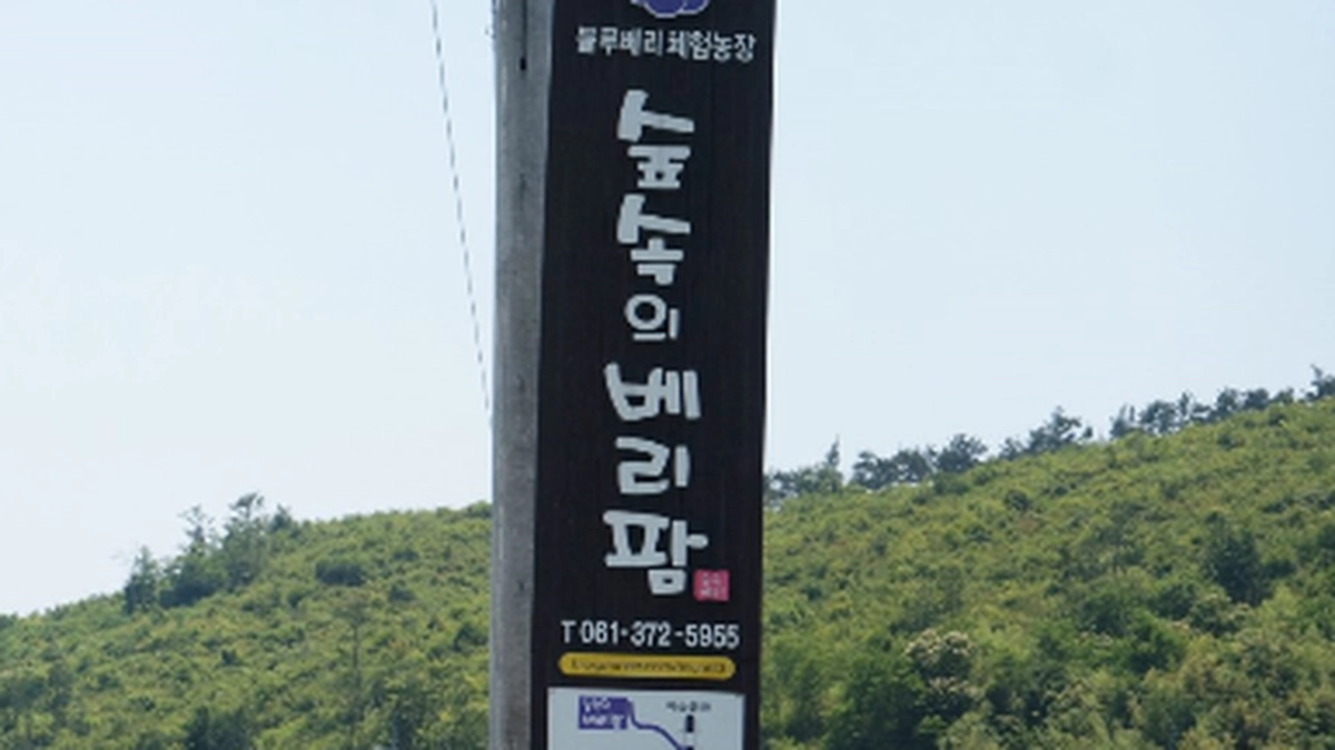 숲속의베리팜