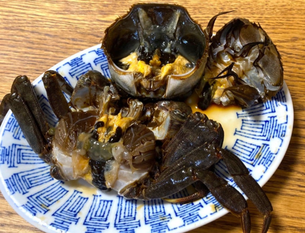온라인 커뮤니티