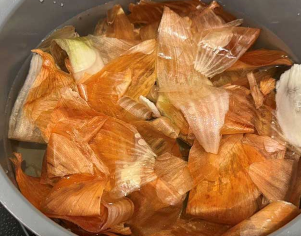 온라인 커뮤니티