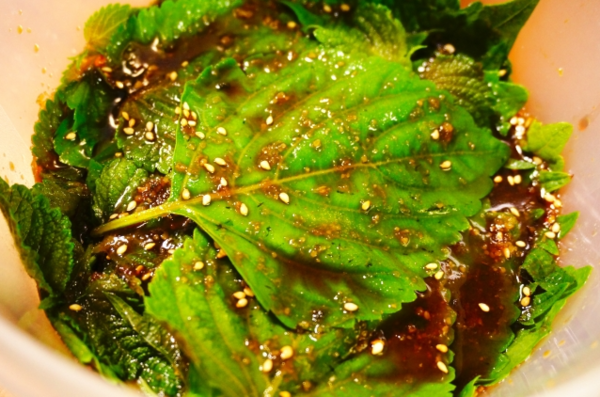 온라인 커뮤니티