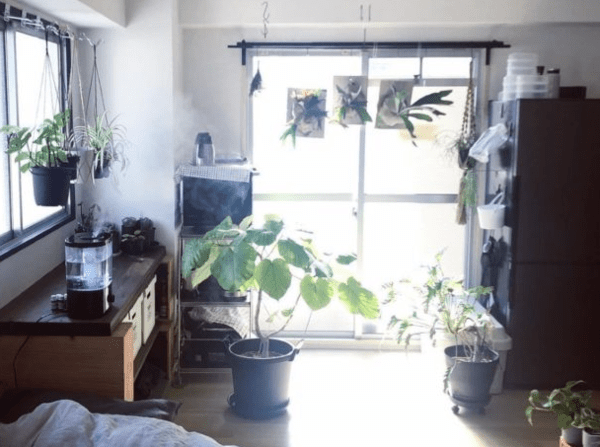 온라인 커뮤니티