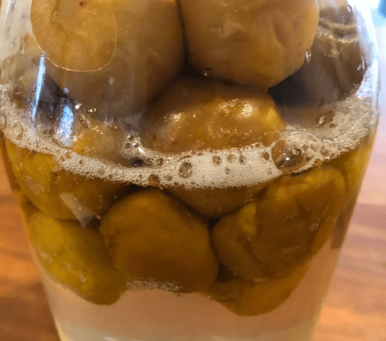 온라인 커뮤니티