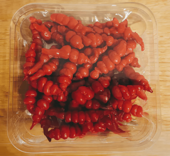 온라인 커뮤니티