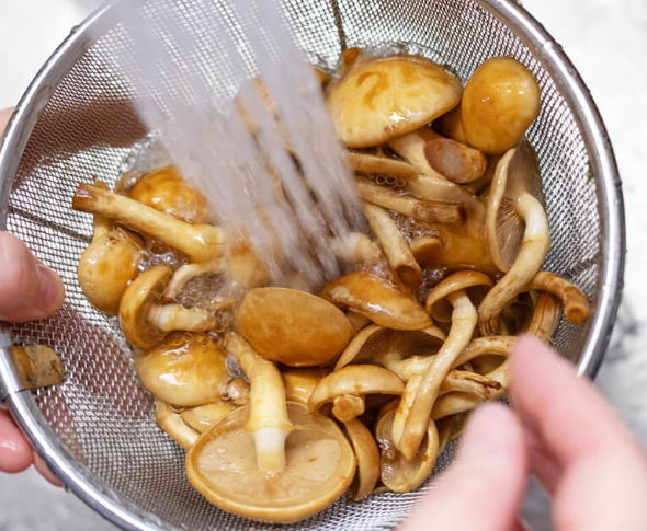 온라인 커뮤니티