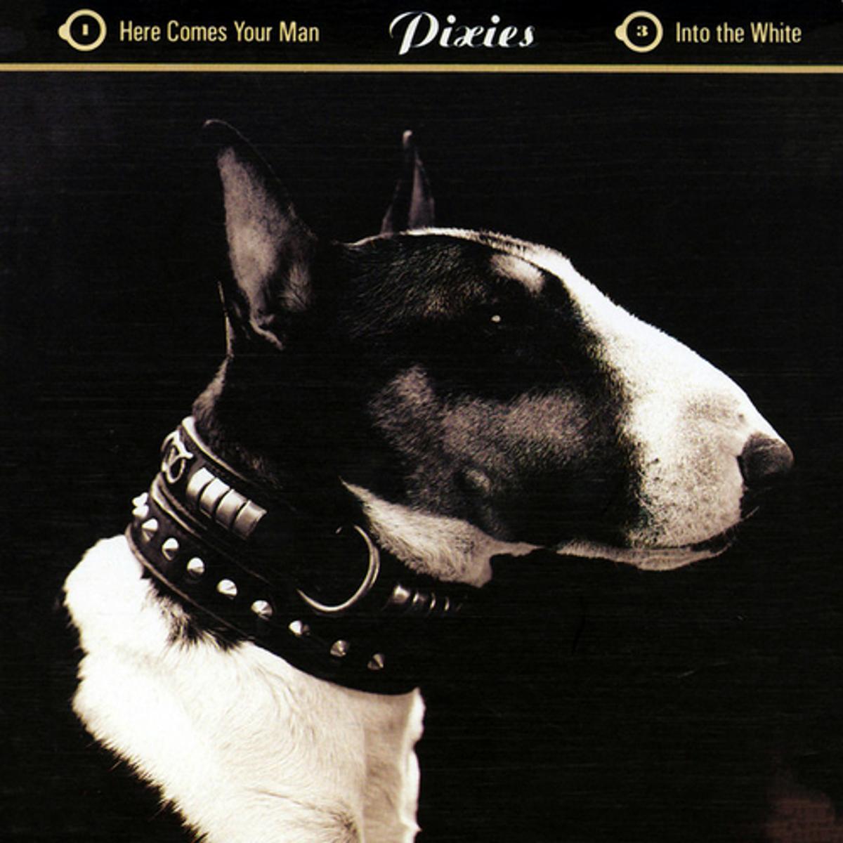 픽시스(Pixies)의 'Here Comes Your Man'