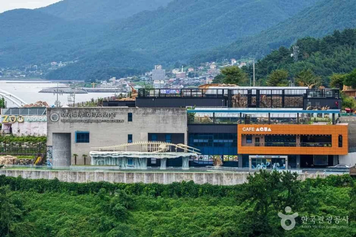 아라마루 아쿠아리움 - 8월 여행 여행
