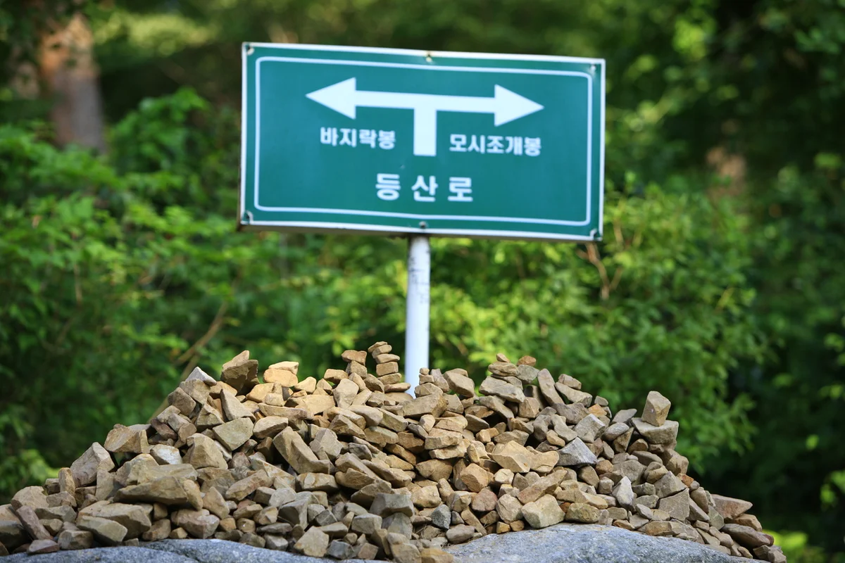 안면도자연휴양림 - 태안 연말 여행 여행