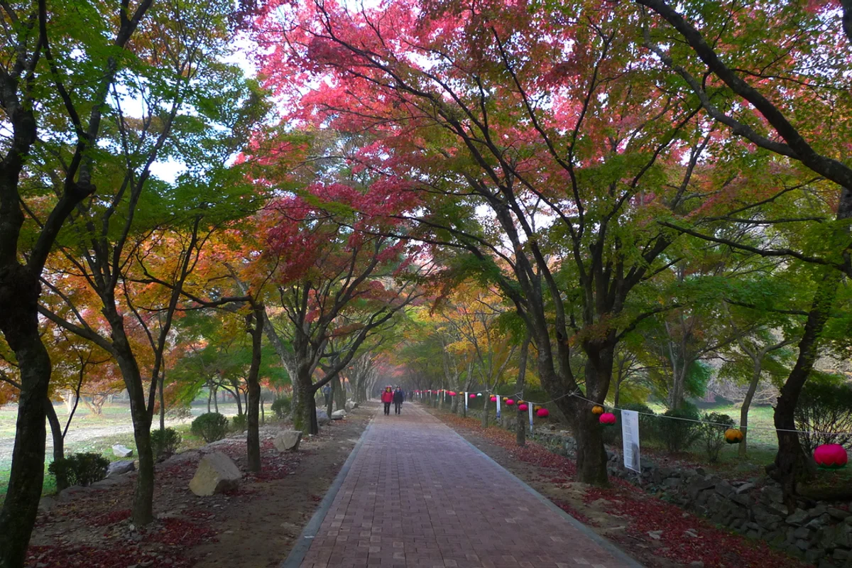 내장사 - 정읍주말여행 여행