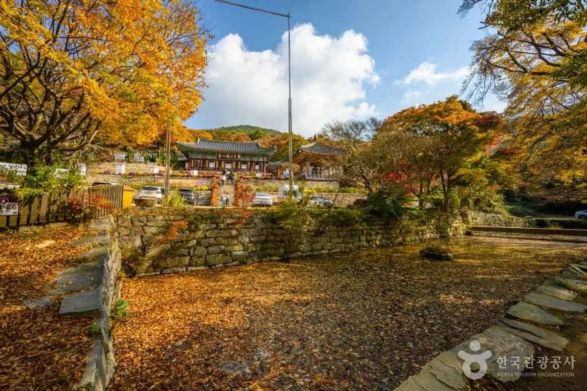 개심사 - 서산 여행
