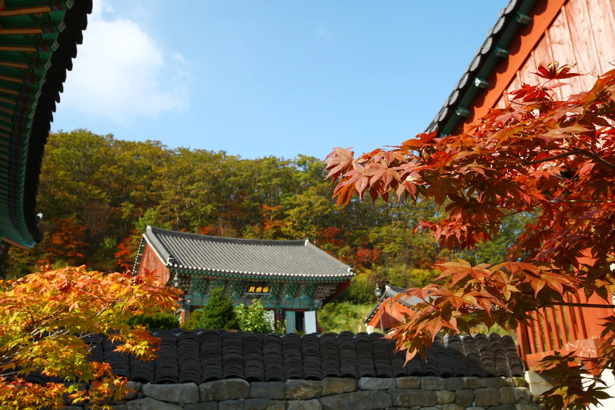 안국사 - 무주군 여행
