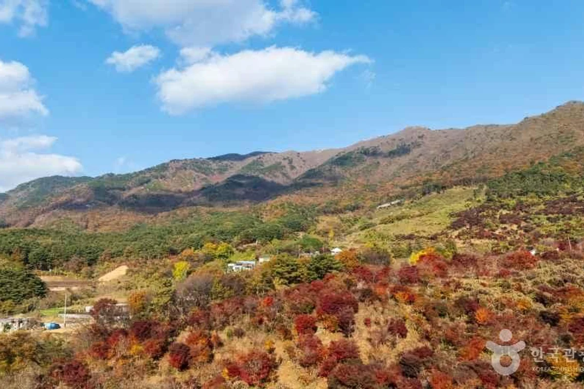 오서산 - 홍성군 여행 여행