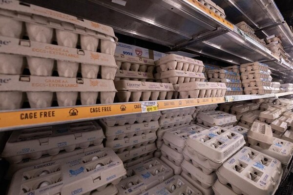 worldjournal