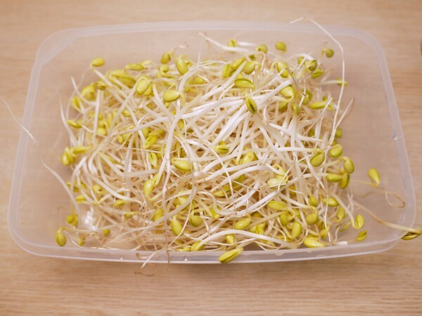 marukoblog