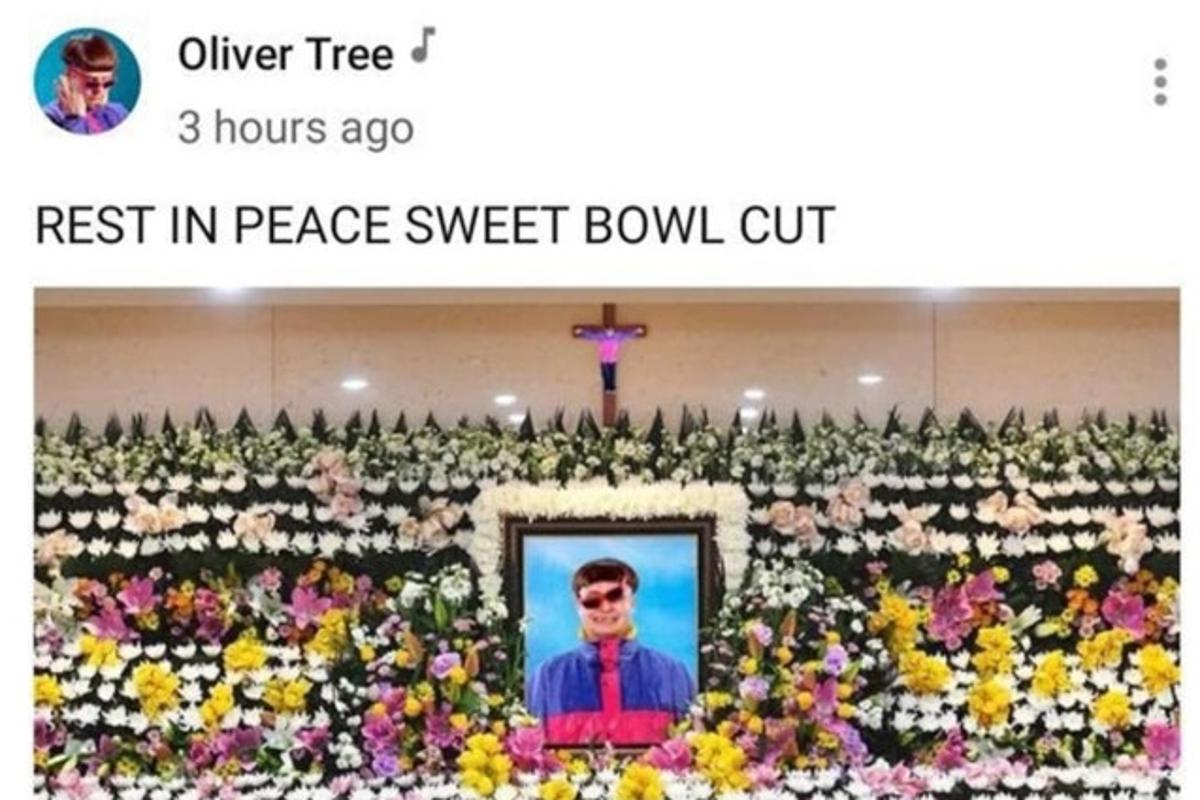   Source: Oliver Tree
