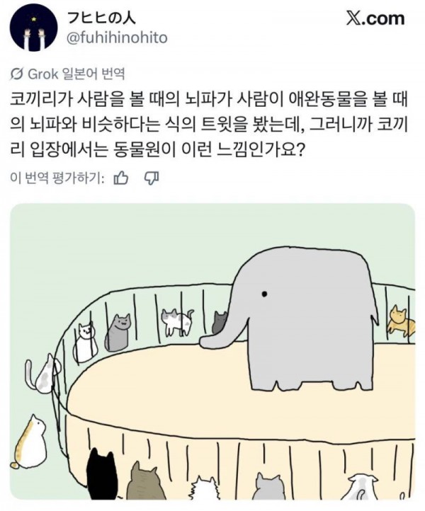 동물원에서 사람이 오면 제일 기뻐하는 동물의 내용을 보여주는 이미지 관련 이미지 2