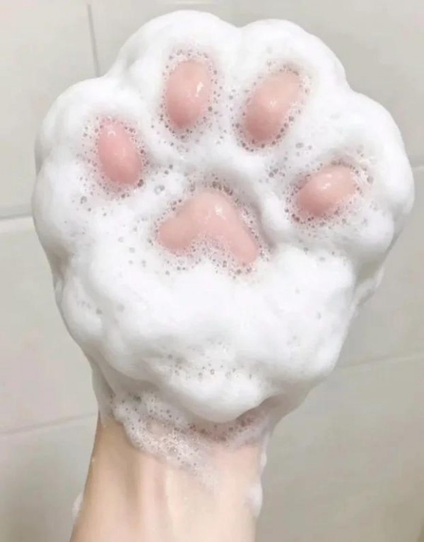 냥발만들기의 내용을 보여주는 이미지 관련 이미지 2