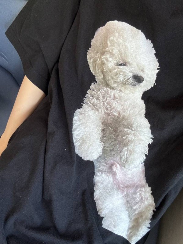 기사님이 강아지 안고 타면 안된다고 못타게 함의 내용을 보여주는 이미지