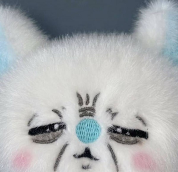 한국의 온라인 샵에서 판매되는 가짜 물건입니다..의 내용을 보여주는 이미지 관련 이미지 2