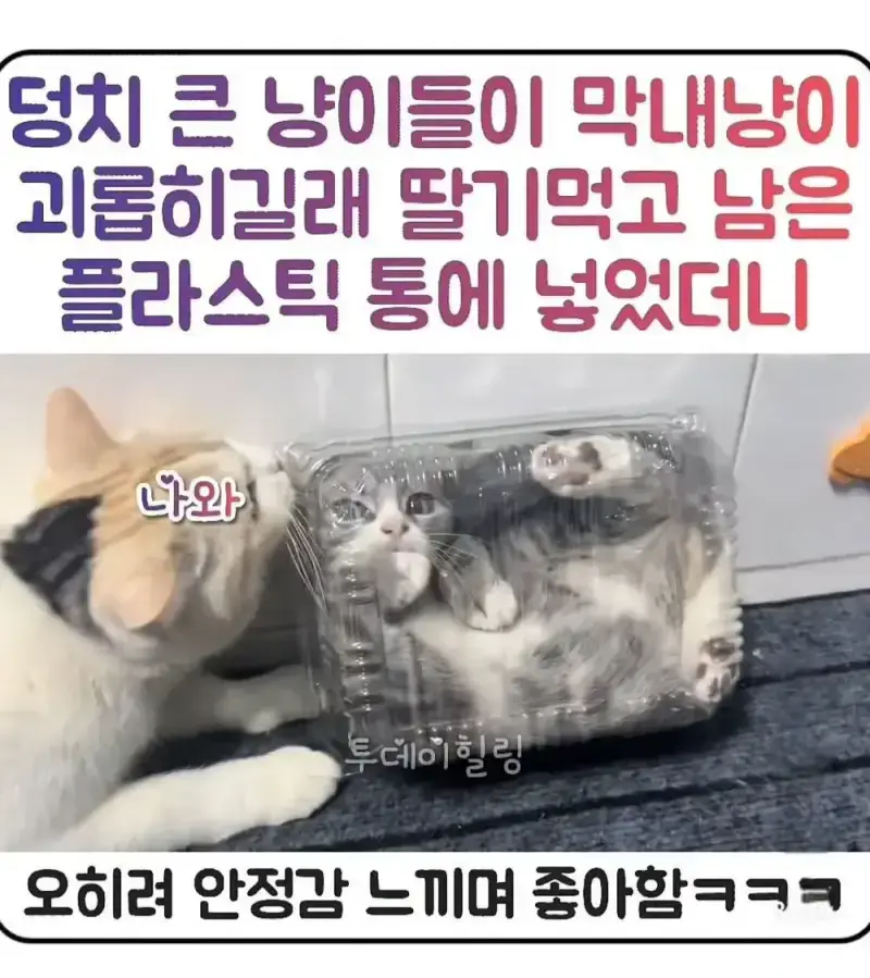 20260726094446_BPgFtkz2bh.webp