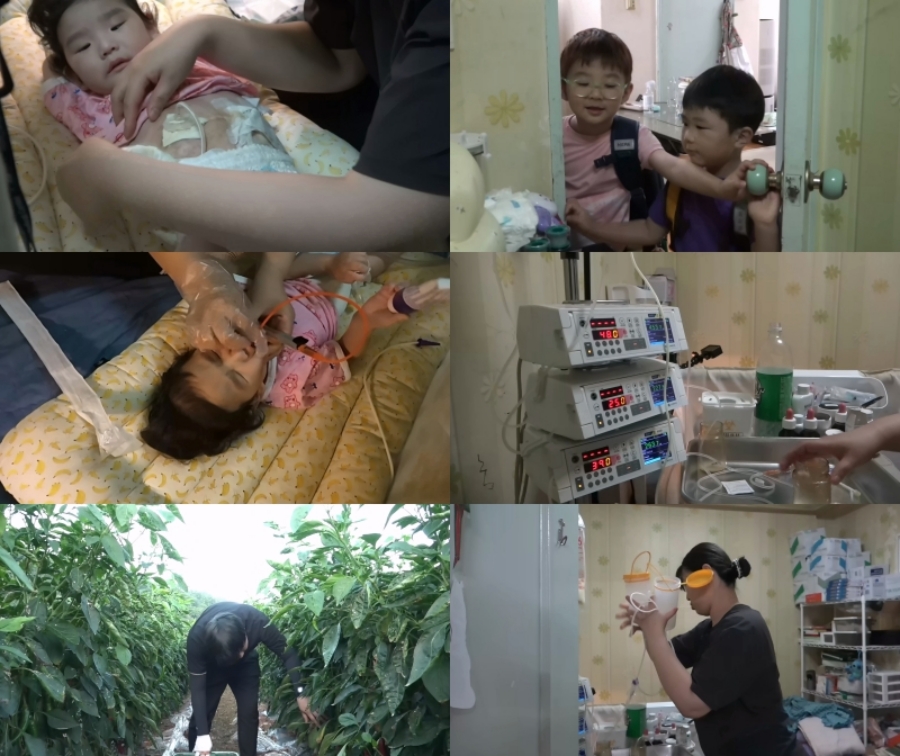 사진: EBS 제공
