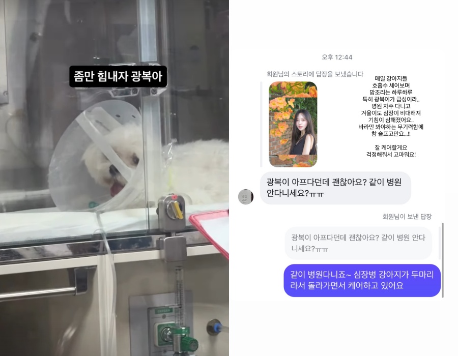 사진: 박성광, 이솔이 인스타그램