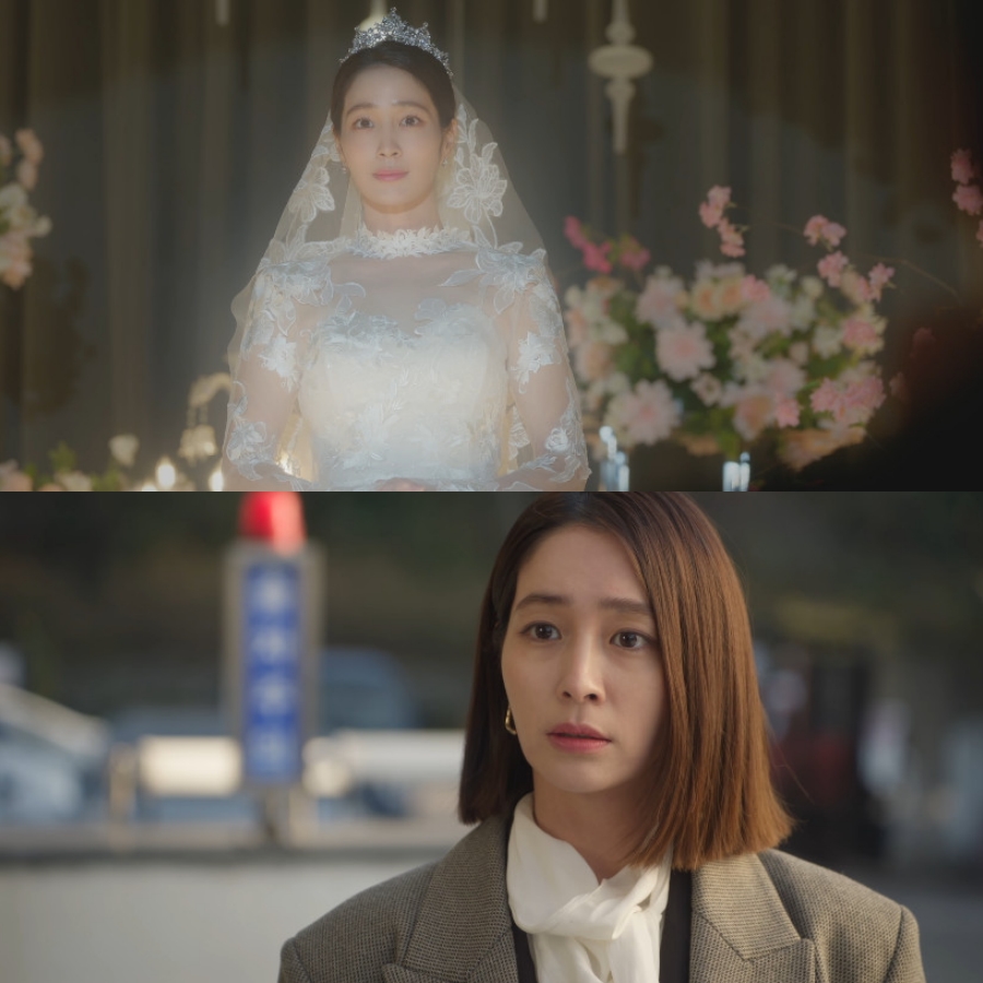 사진 제공 : 캔버스엔