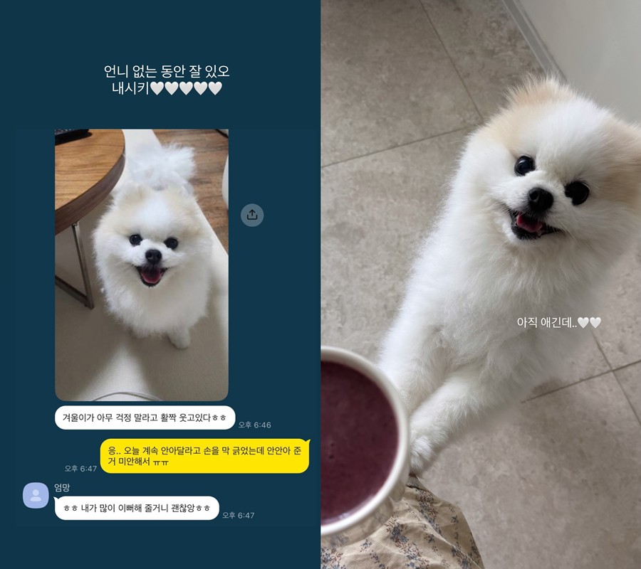 '박성광♥' 이솔이, 이혼설 극복했는데…\